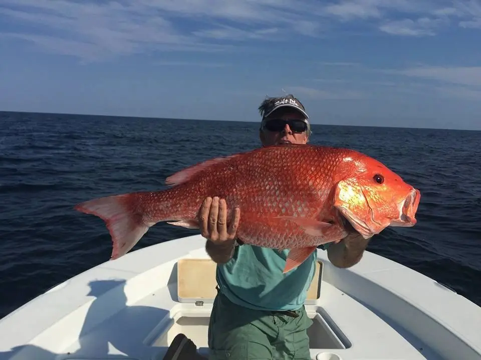 Angler holding a trophy red snapper on the Gulf
