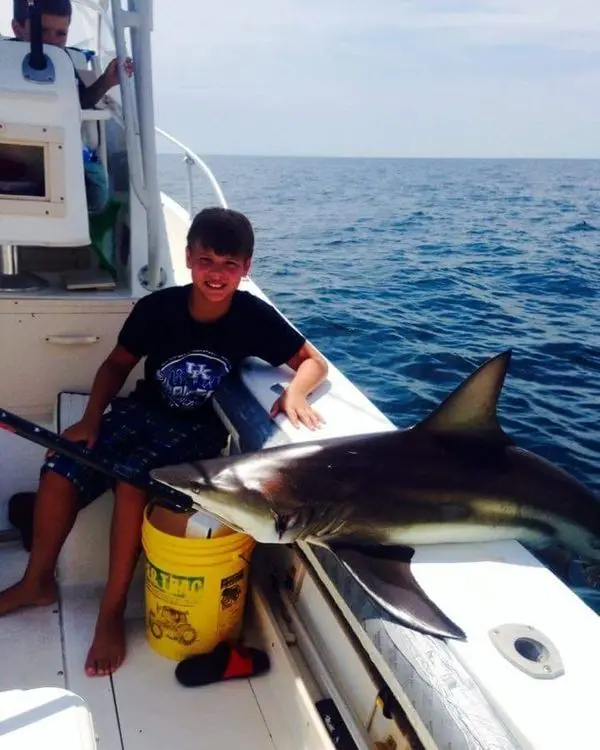 Young angler with a shark caught on an Orange Beach fishing charter