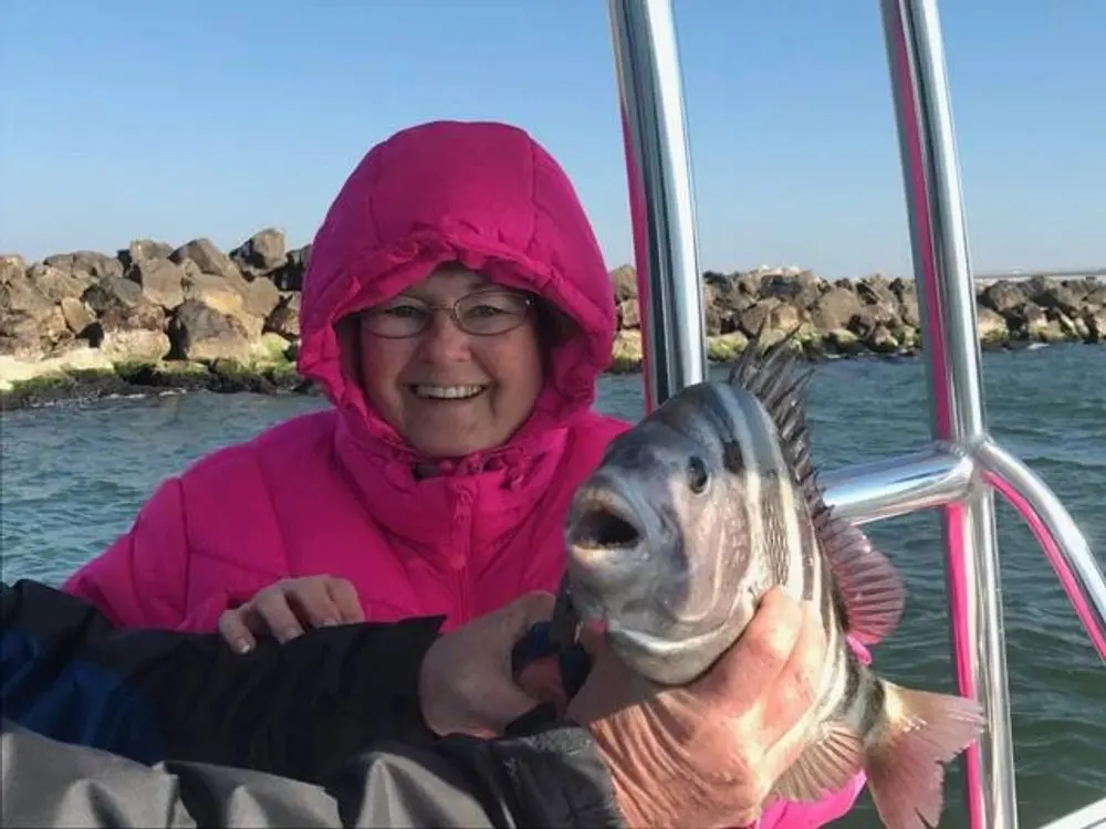 Smiling angler holding a sheepshead near the Orange Beach jetties